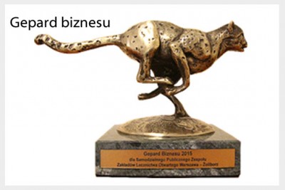 statuetka Gepard biznesu